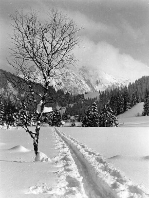 Winterbilder. Gebirgslandschaft mit Spur im Schnee bei Sonthofen