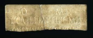 Zwei Fragmente einer Grabplatte mit Inschrift (Musici)
