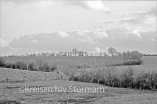 Zwischen Barnitz und Westerau: Knicklandschaft mit Weiden, Zäunen, Büschen und Bäumen