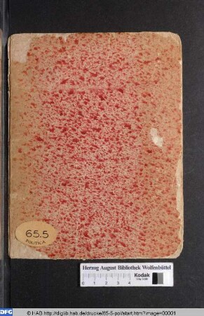 Eigentliche Beschreibung/ auch Grund- und Perspectivischer Abriß des Fried- und Freundenmahls/ Schauspiel und Feuerwerks : so auf allergnädigsten Befehl der Röm. Keys. May. Denen/ Suedischen Generaliss. H. Pfalzgr. Carl Gustav/ Chur: Fürsten und Stände ... von H. General Lieut. Duca d'Amalfi angestellet und gehalten worden/ bey Nürnberg ... den 14/4 Heumonds/ im Jahr nach Christgeburt 1650.