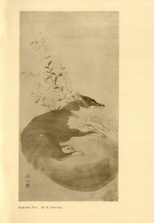 Sleeping fox. By R. Tetsuzan