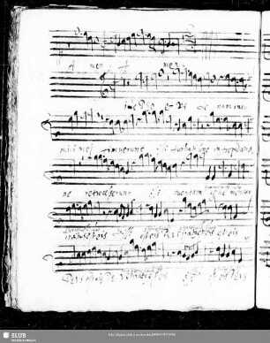 95 Anonymus: Fide Deo et vide