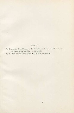 Tafel IX. Fig. 1. Aus dem Dorfe Slemann, ... Fig. 2. Haus aus dem Dorfe Hatalai ...