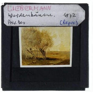 Liebermann, Weidenbäume