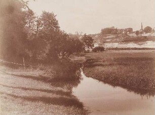 Bille bei Sande