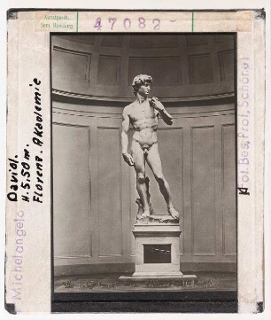 Michelangelo: David. Florenz, Akademie