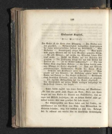 Siebentes Kapitel. Die Geißel
