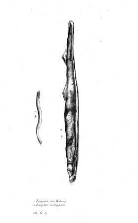 Tab G3