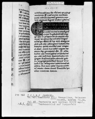 Evangeliar: Initiale E