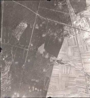 Amerikanische Luftbildaufnahmen von Kriegszerstörungen. Ausrichtung nach Süden. Hagsfeld (Randgebiet) / Hardtwald