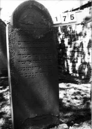Grabstein 175 (Index: 100094330) Material: Sandstein Zustand: oben und unten abgeblättert, Textverlust Maße HxBxT: 131x50x10 cm Beschreibung: Stele, eingezogener Rundbogenabschluß: Grabstein 175
