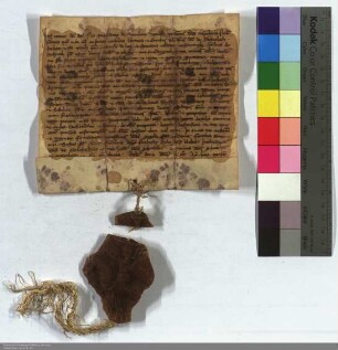 Poppo Graf von Wertheim bestätigt, daß Mechthild von Bleichenbach und ihre Söhne ihre Güter in Holzhausen und Ghuvere bei Amöneburg an den Deutsch...
