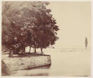 Mainau, Uferbefestigung an der Ostseite des Bodensees.