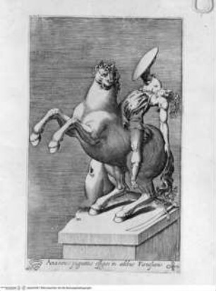Antiquarum statuarum urbis Romae, quae in publicis privatisque locis visuntur, icones. Romae. Ex typis Laurentii Vaccarii... MDLXXXIIII., Tafel [7]: Amasonis pugnantis effigies in aedibus Farnesianis (nach der Antike)