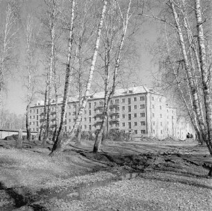 Krasnojarsk. Blick durch ein Birkenwäldchen zu einem Wohnblock