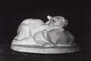 Ruhende Katzen