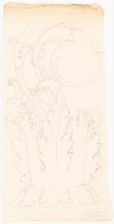 Pflanzliche Ornamente: Ansicht