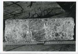 Bohrkern der Tiefenbohrung Freital (F 7), Teufe (Tiefe im Bergwerk) 185,95-189,75 m. Fanglomerat mit großem Fluidalporphyr-Geröll. Bannewitz, Bohrpunkt nahe der B 170 an der Kreuzung mit der Ortsstraße