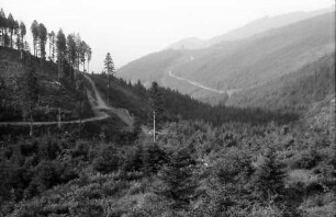 Oberried: Kahlschläge und Aufforstung im Oberrieder Tal; mit Straßenserpentine