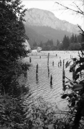 Ghilcos: Baumstämme im See Lacul Rosu, Hintergrund Piatra Cupasului (1321 m)