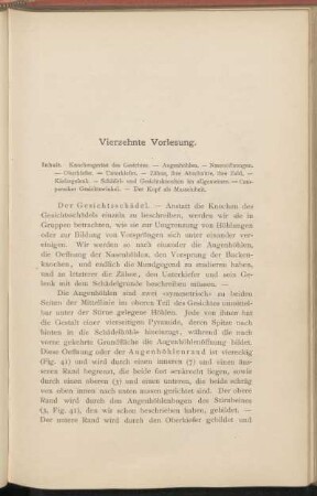 Vierzehnte Vorlesung.
