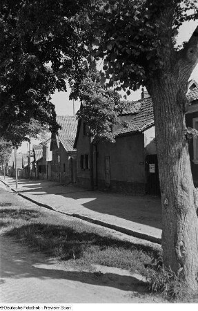 Blick in eine Dorfstraße im Harz