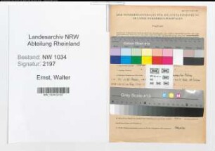 Entnazifizierung Walter Ernst , geb. 06.08.1896 (Oberst)