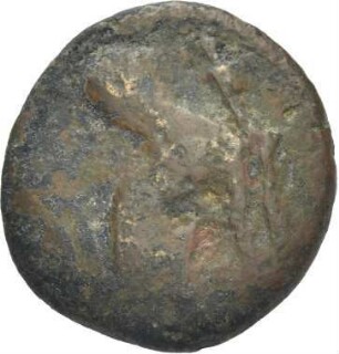 Perge