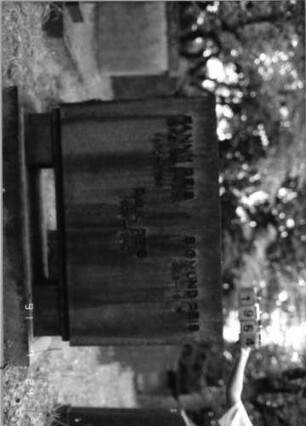 Grabstein 1954 [Hahn S. 174 Grab-Nr. 2850]