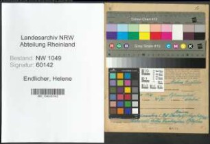 Entnazifizierung Helene Endlicher , geb. 26.02.1908 ()