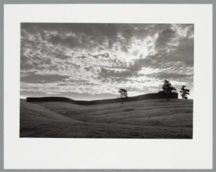 Richard Serra, Te Tuhirangi Contour, Gibbs Farm, Kaipara, Neuseeland