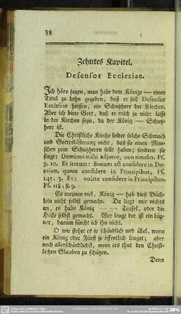 Zehntes Kapitel. Defensor Ecclesiae