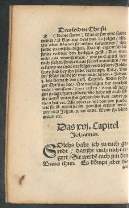 Das xvi. Capitel Johannis.
