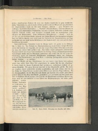 Abb. 26. Farm Kwai. Kreuzung von Franken und Zebu.