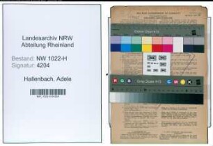 Entnazifizierung Adele Hallenbach , geb. 06.05.1900 (Lehrerin)