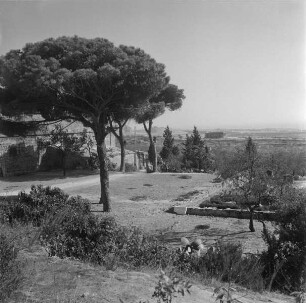 San Nicola