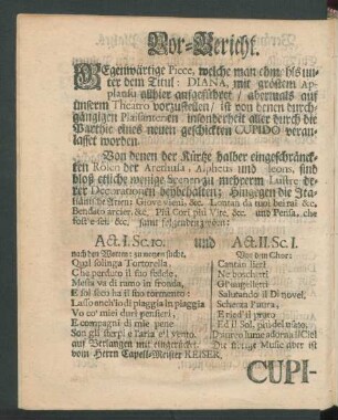 Vor-Bericht.