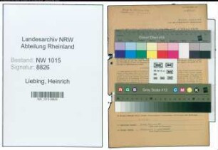Entnazifizierung Heinrich Liebing , geb. 09.09.1908 (Kaufmaennischer Angestellter)