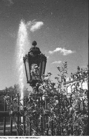 Dresden, Altstadt, Zwinger, Impressionen, u.a. Herkules Saxonicus vom Wallpavillon