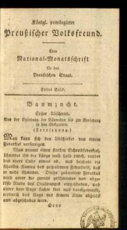 Elftes Stück