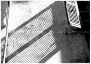 Schatten eines Fensterladens (Altersgruppe 18-21)