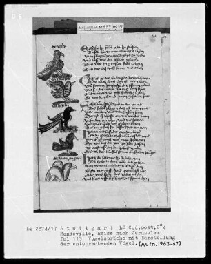Jean de Mandeville, Reise nach Jerusalem — Vogeldarstellungen zu Vogelsprüchen, Folio 113recto