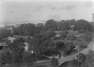 Hirvepark / Hirschpark