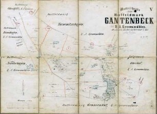 N° V; Mutterrkarte von der Hoffeldmark Gantenbeck. D.A. Grevesmühlen.