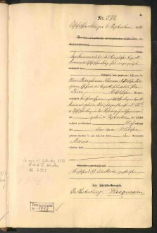 Standesamtsbuch der Stadt Aschaffenburg: Geburten 365/1900 - 184/1901