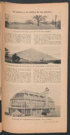 El vidrio y el cultivo de las plantas
