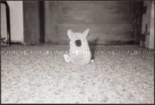 Stoffmaus sitzt auf dem Teppich (Sonderthema: Langeweile)