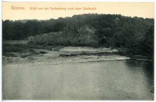 Grimma. Blick v. d. Gattersburg n. Stadtwald