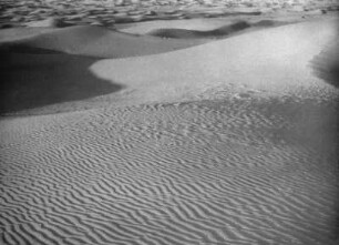 Sanddünen bei El Qued, Algerien