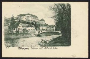 217, Tübingen, Schloss mit Alleenbrücke.